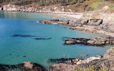 Stages d’été Feldenkrais • Telgruc-sur-Mer