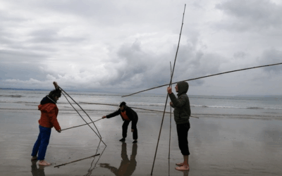 Danse et Feldenkrais – Presqu’île de Crozon