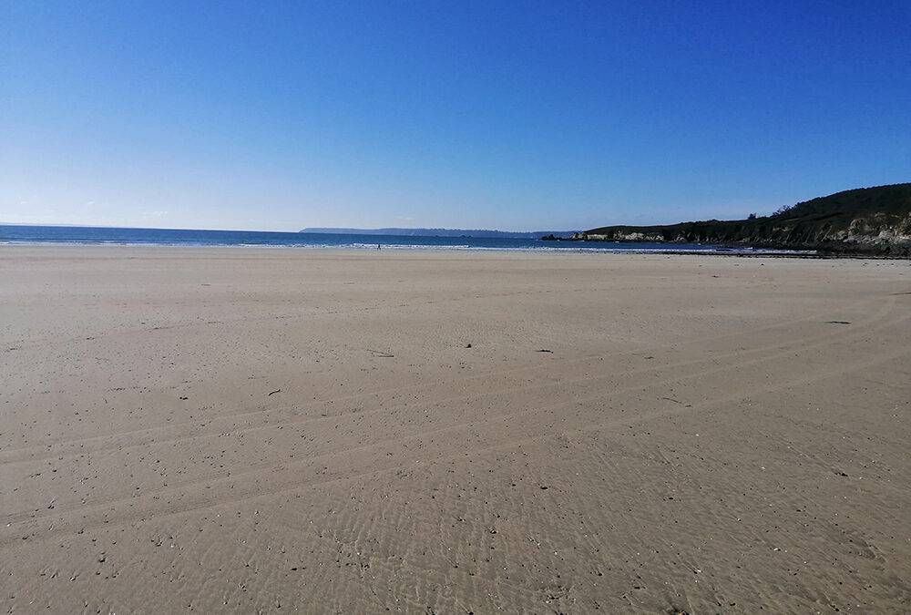 Stage de printemps Danse et Feldenkrais – Presqu’île de Crozon