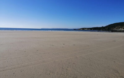 Stage de printemps Danse et Feldenkrais – Presqu’île de Crozon